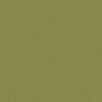 P2 EUROLINE 1130 (бледно-зеленый)