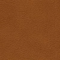 CONSUL-Bicolore-Ontano-5030-Y65R